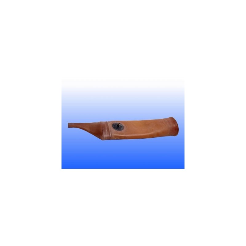 Vagina equini Missouri