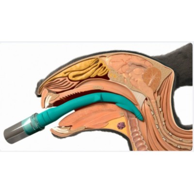 V-gel Advanced per conigli