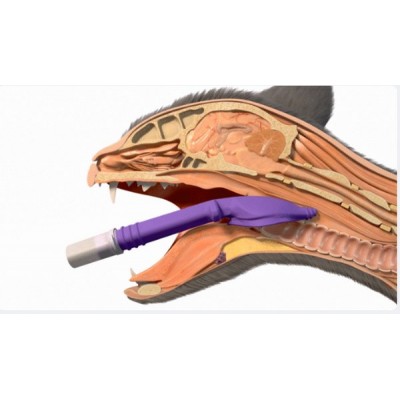 V-gel Advanced per gatti