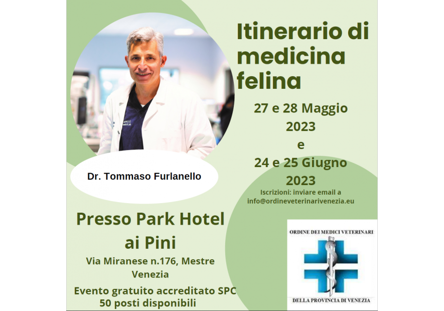 ITINERARIO DI MEDICINA FELINA